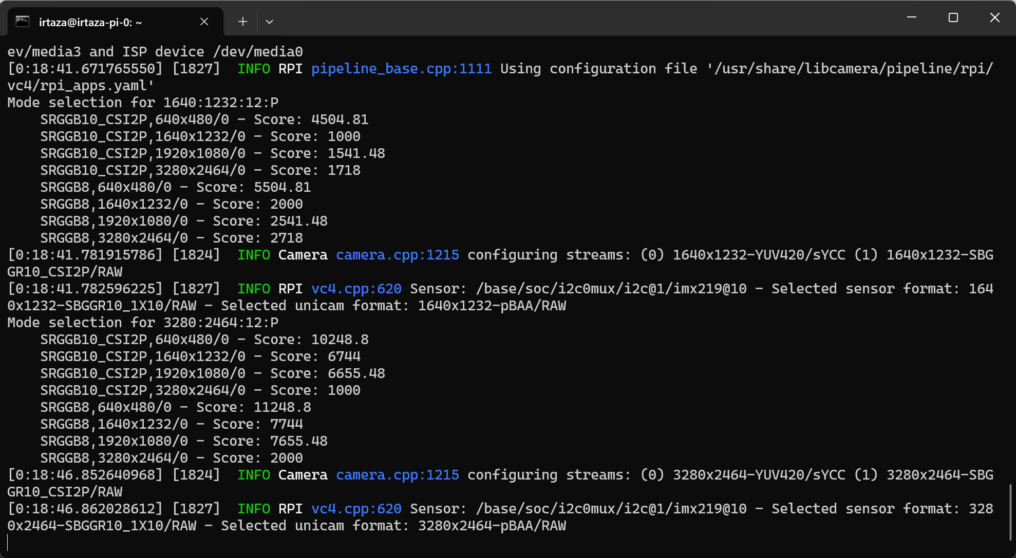 Terminal showing the working script